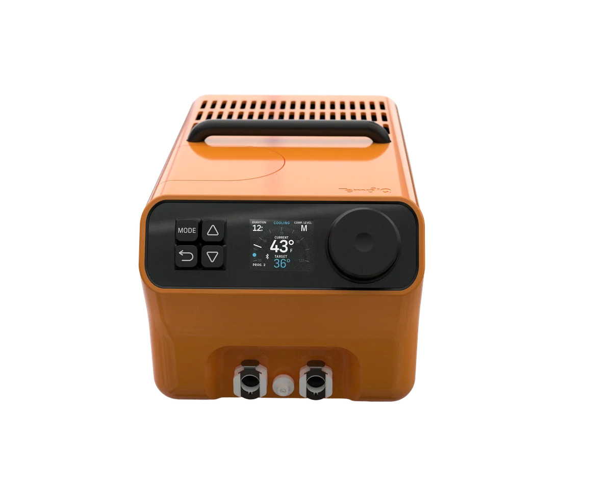 Clydesdale — Orange Colorway